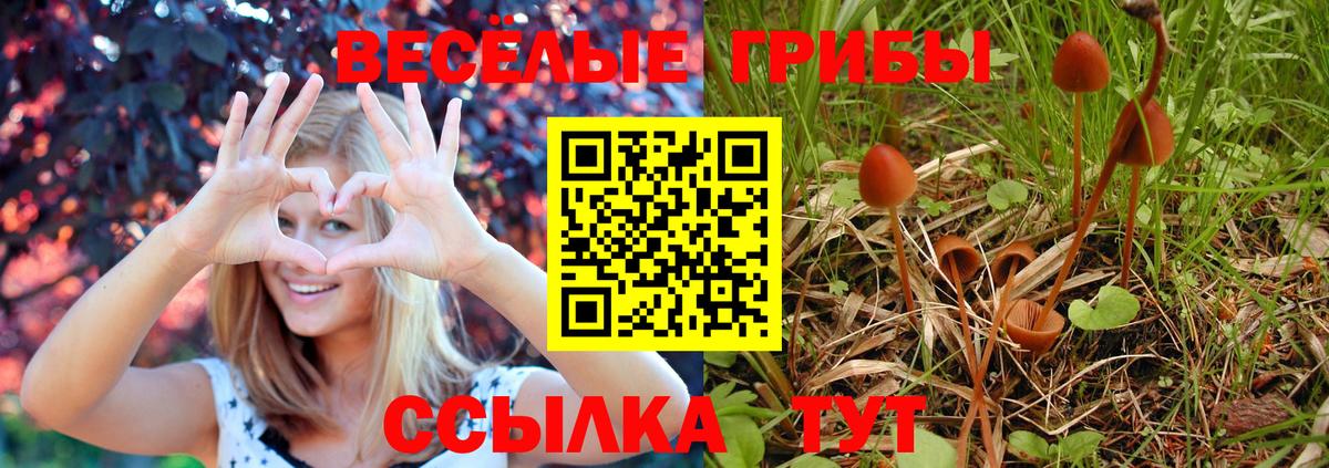 Псилоцибиновые грибы Magic Shrooms  Вход с VPN  Чистополь 